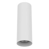 Потолочный светильник Lightstar Rullo 216496