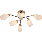 Потолочный светильник Reluce 07086-0.3-06