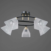 Люстра Illumico IL0850-5CSQ-25BKAB ELITE