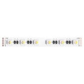 Светодиодная лента 24V 14,4W/m RGB+W 3000К 5м Arte Lamp TAPE A2406012-02-RGB3K