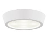 Потолочный светодиодный светильник Lightstar Urbano 214904