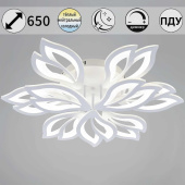 Светильник потолочный Reluce 85162-0.3-6+3