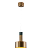 Светильник подвесной Moderli Goldy V11319-1P