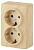 Розетка ЭРА Эксперт 2х2P E Schuko 16A 250V 11-2205-11 Б0020693