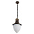 Уличный подвесной светильник Arte Lamp Vienna A1317SO-1BN