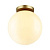 Потолочный светильник Odeon Light Hightech Bosco 4248/1C