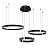 Подвесной светодиодный светильник Arte Lamp Shine A2222SP-3BK