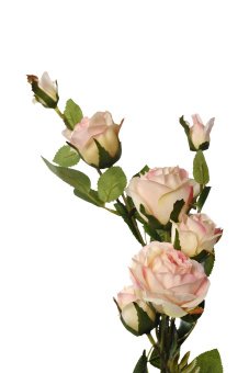 9F27994-4137 Роза кустовая нежно-розовая 73 см(24)